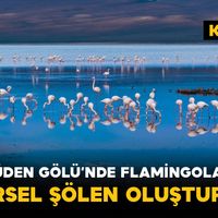 Yaşam