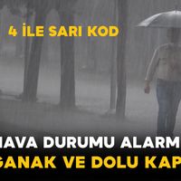 Genel
