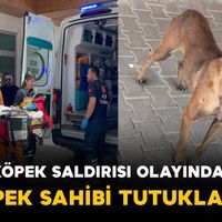 Asayiş