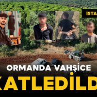 Asayiş