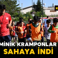 Spor