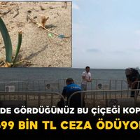 Genel