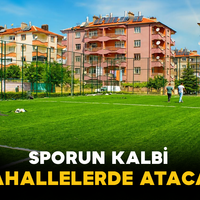 Spor