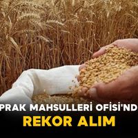 Tarım