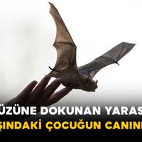Dünya