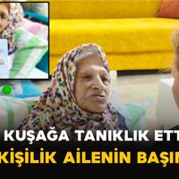 Genel