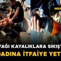 Asayiş