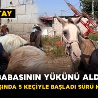 Genel