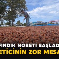 Tarım