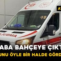 Asayiş