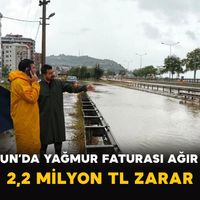 Genel