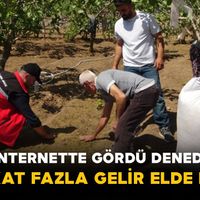 Genel