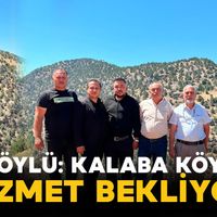 Politika