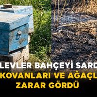 Asayiş