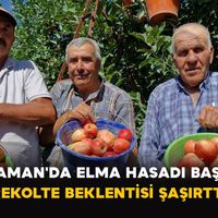 Tarım