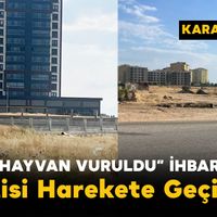 Asayiş