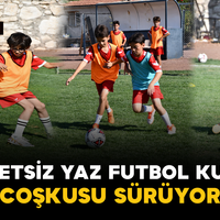 Spor