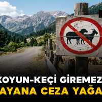 Ulusal