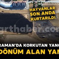 Asayiş