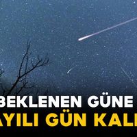 Bilim