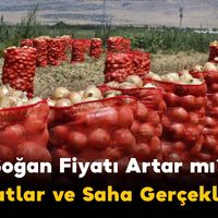 Tarım