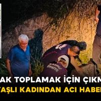 Asayiş