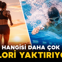 Spor