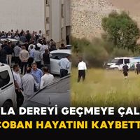 Asayiş