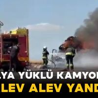 Asayiş