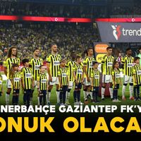 Spor
