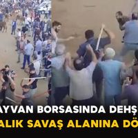 Asayiş