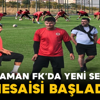 Spor