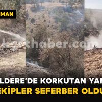 Asayiş