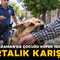 Asayiş