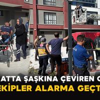 Asayiş