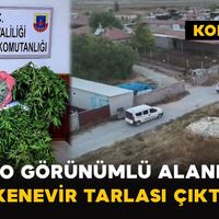 Asayiş