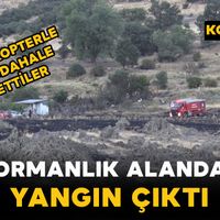 Asayiş