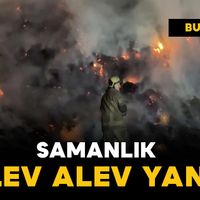 Asayiş