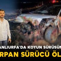 Asayiş