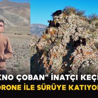 Bilim