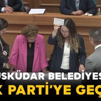 Politika