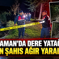Asayiş