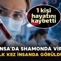 Dünya