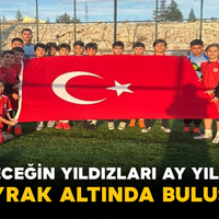 Spor