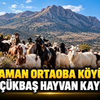 Asayiş