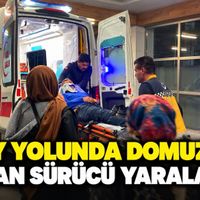 Asayiş