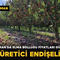 Karaman