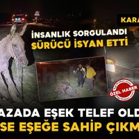 Asayiş