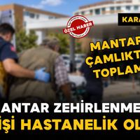Asayiş