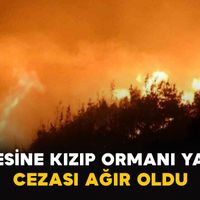Asayiş